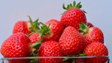 Erdbeere (4).jpg